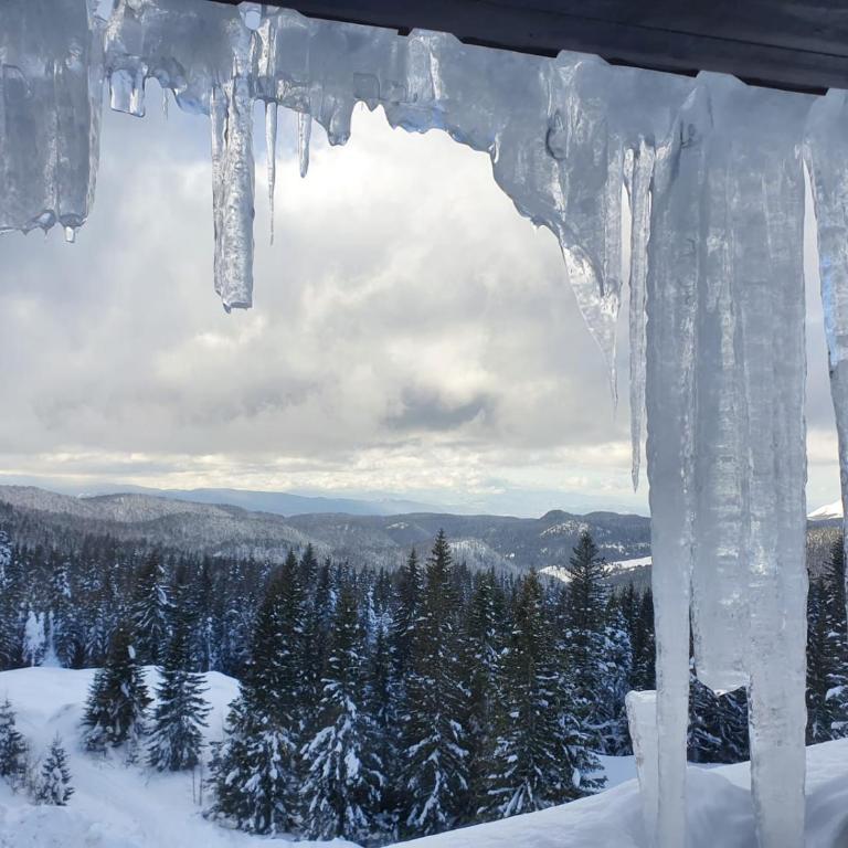 Jelka apartmani - King Studio with Sofa Bed - 16