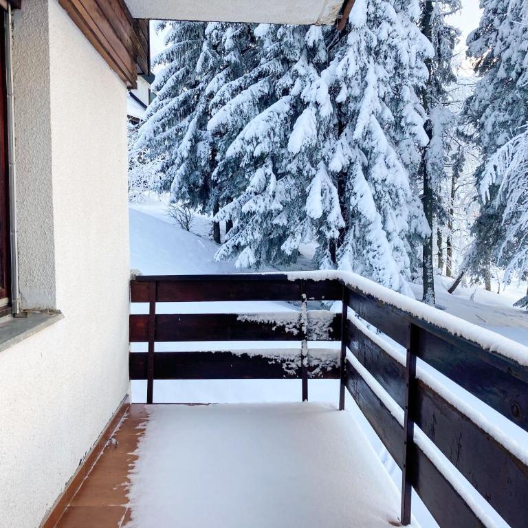 Apartment Košuta A2 - One-Bedroom Apartment - 18