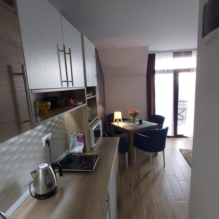 Magic View E16 Kopaonik - Apartment with Mountain View - 10