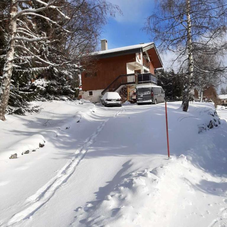 Chalet spacieux et convivial LA TOUSSUIRE - Chalet - 23