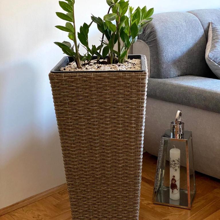 AFRIKA - Apartman sa 1 Spavaćom Sobom - 45