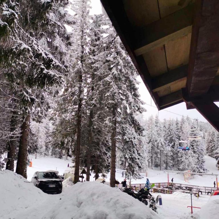 Apartman sa terasom Vila Mina Kopaonik - Apartment - 12