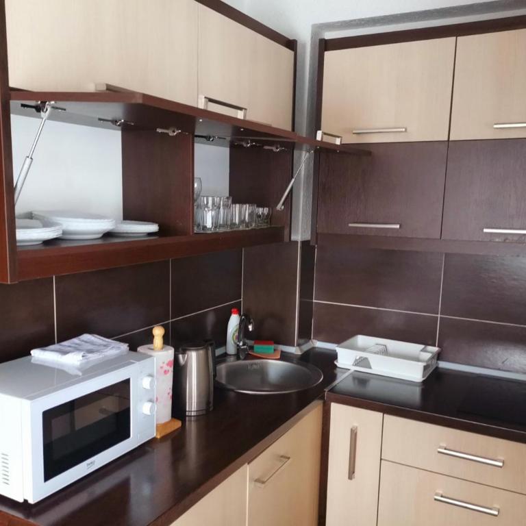 Apartman sa terasom Vila Mina Kopaonik - Apartment - 9