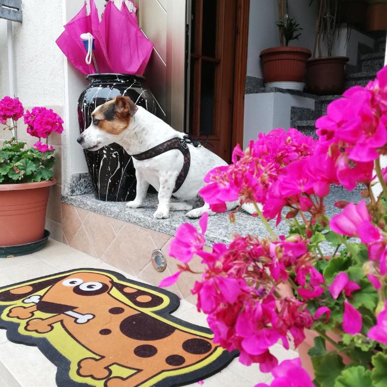La Casa di Pamy - Appartamento con Terrazza - 58