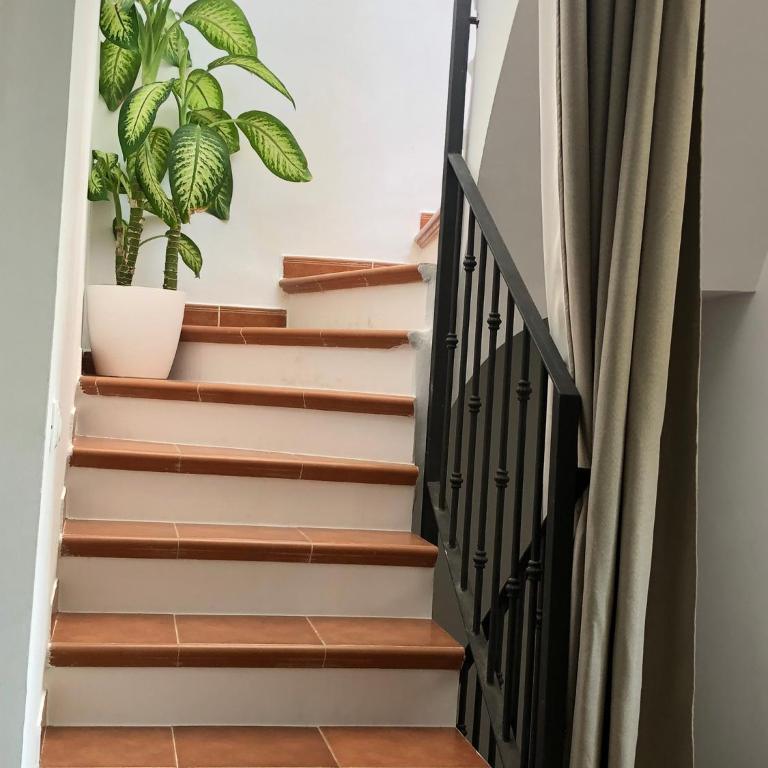 Ático a 200m del mar. - Apartamento de 3 dormitorios - 6