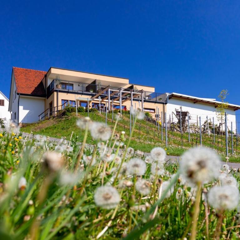 Weingut und Gästezimmer Perner - Doppelzimmer - 1