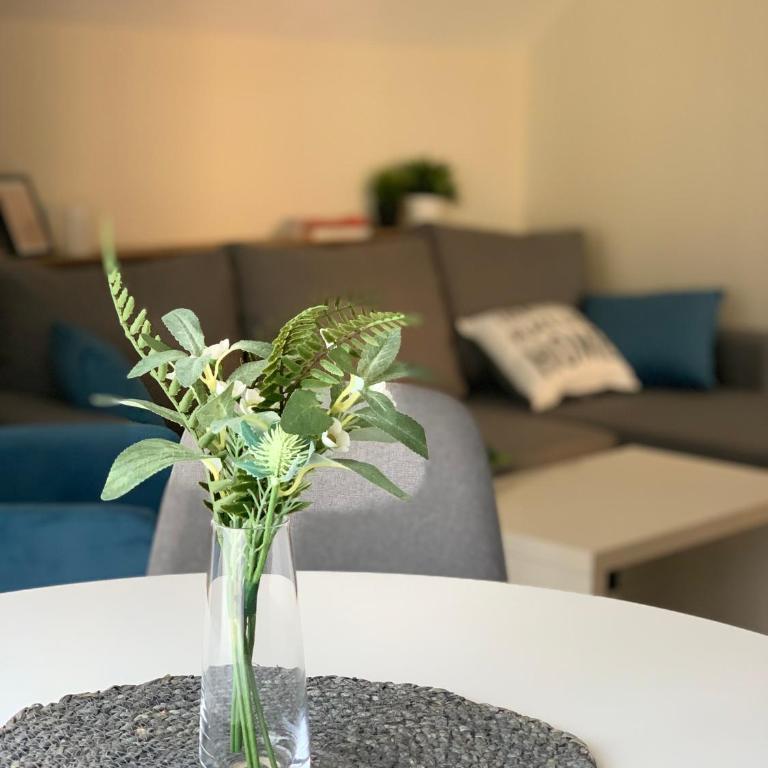 VIP House 1 - One-Bedroom Apartment - 8