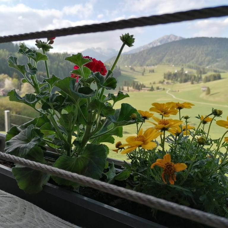 Maso Stella - Ferienhaus - 12