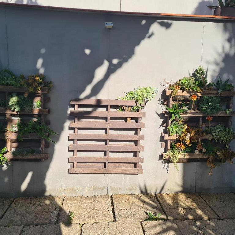 pardelo - Apartamento de 1 dormitorio - 16