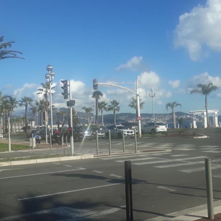 Les Palmiers NiceAirport, Beach200m, 2bedrooms, Wifi Optic - Appartement 1 Chambre - 35
