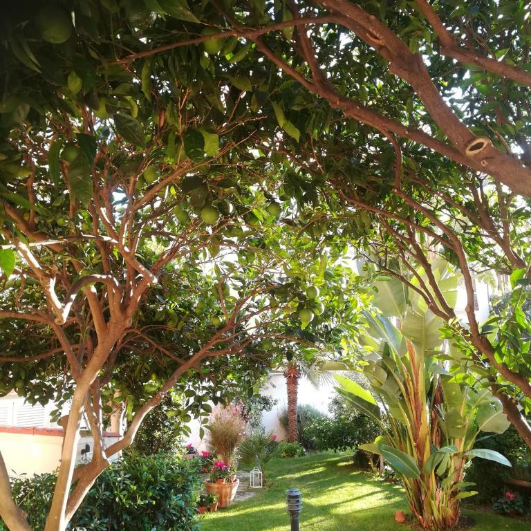 Candida's House - Appartamento con 1 Camera da Letto - 11