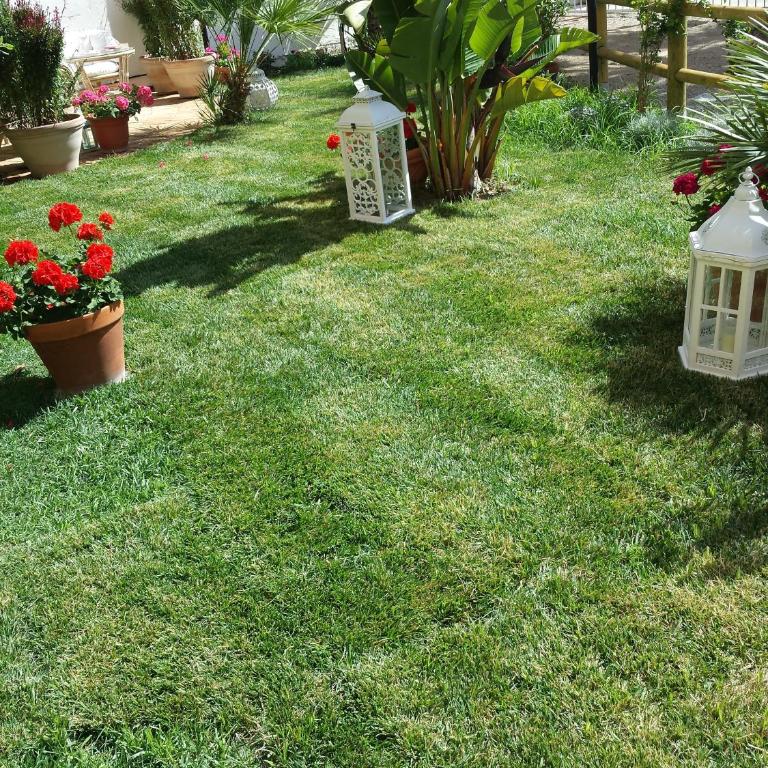 Candida's House - Appartamento con 1 Camera da Letto - 7