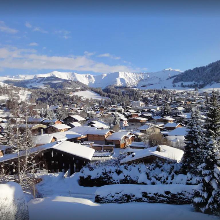 Chalet familial à Megève, vue sur le village - Chalet - 3