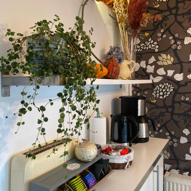 Lou Candelou - Chambre Double avec Douche - Vue sur Jardin - Soleil - 15