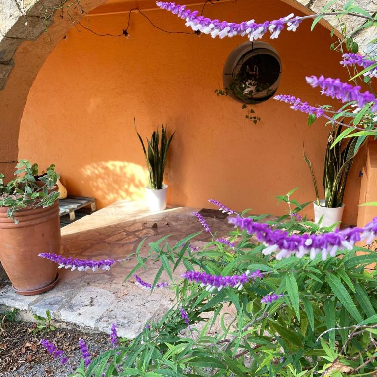 Lou Candelou - Chambre Double avec Douche - Vue sur Jardin - Soleil - 14