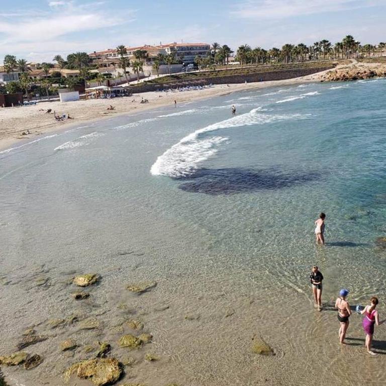 Playa Flamenca Splendid apartment on the beach - Three-Bedroom Apartment - 1