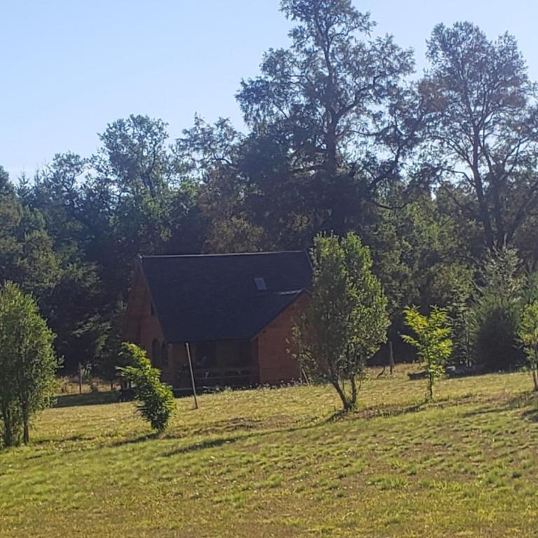 Digueñe Pedregoso - Three-Bedroom Chalet - 35