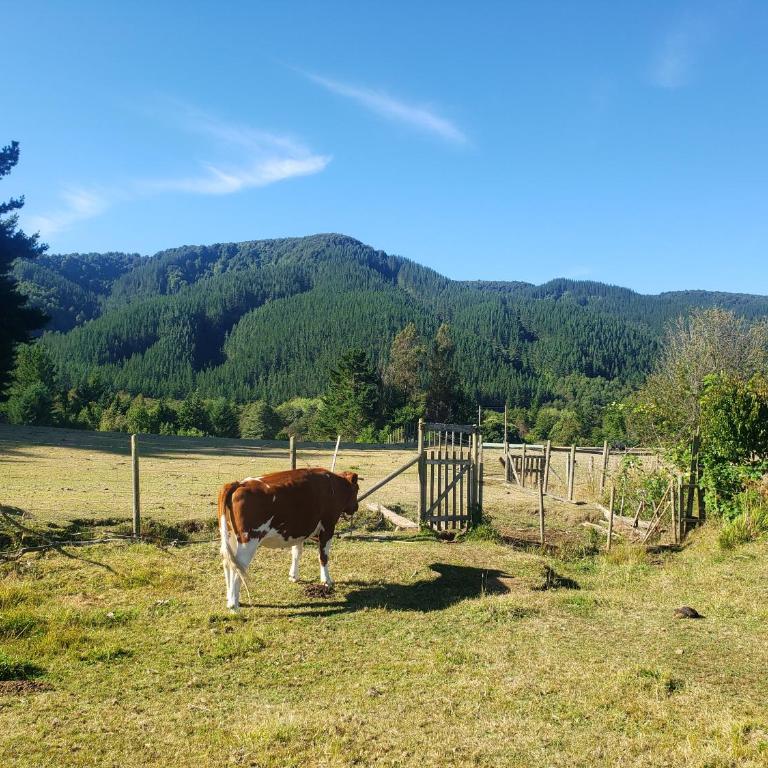 Digueñe Pedregoso - Three-Bedroom Chalet - 9