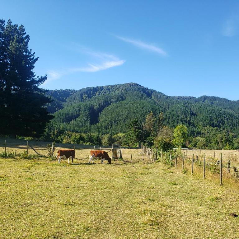 Digueñe Pedregoso - Three-Bedroom Chalet - 3