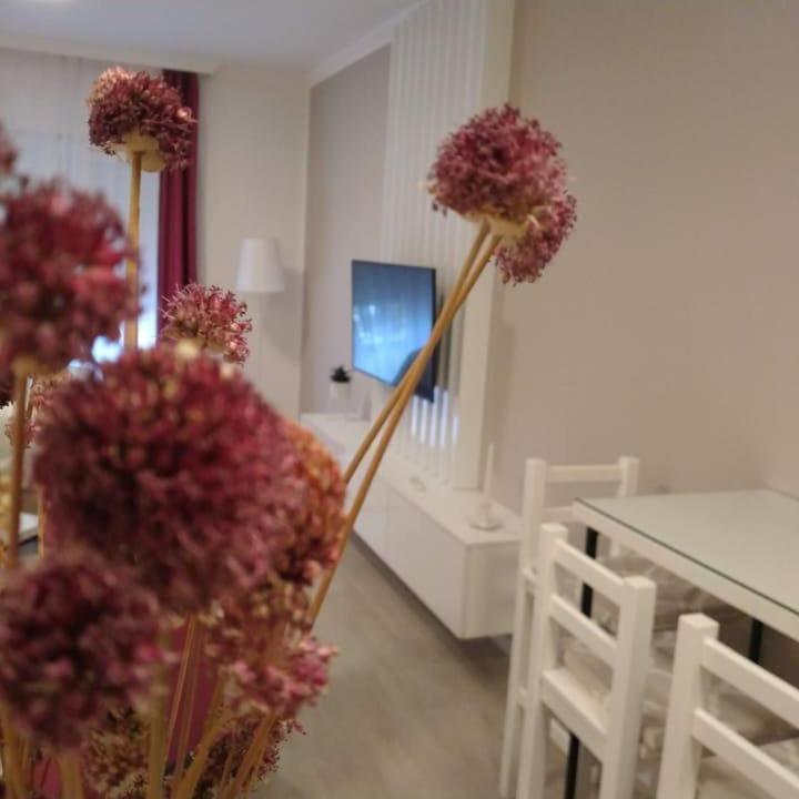 Studio apartman KATJA - Studio sa Balkonom - 15