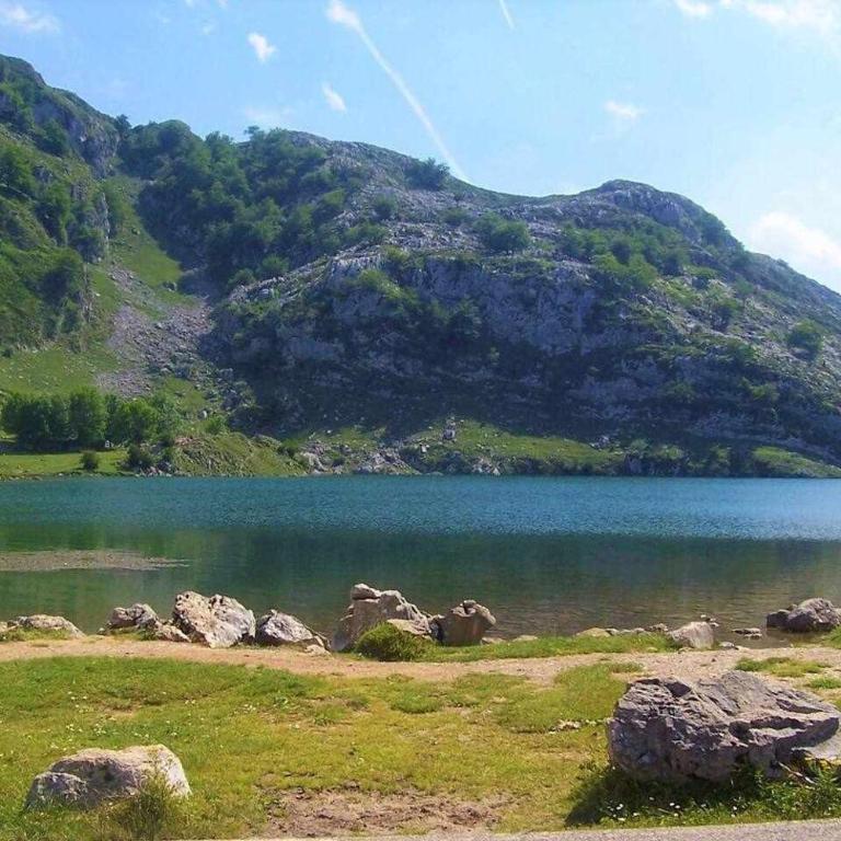 Rincón con piscina en Picos de Europa VUT-6471-AS - Apartamento de 1 dormitorio - 33