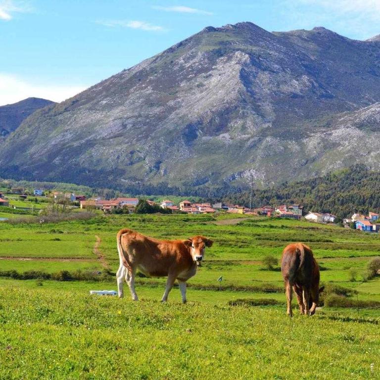 Rincón con piscina en Picos de Europa VUT-6471-AS - Apartamento de 1 dormitorio - 35