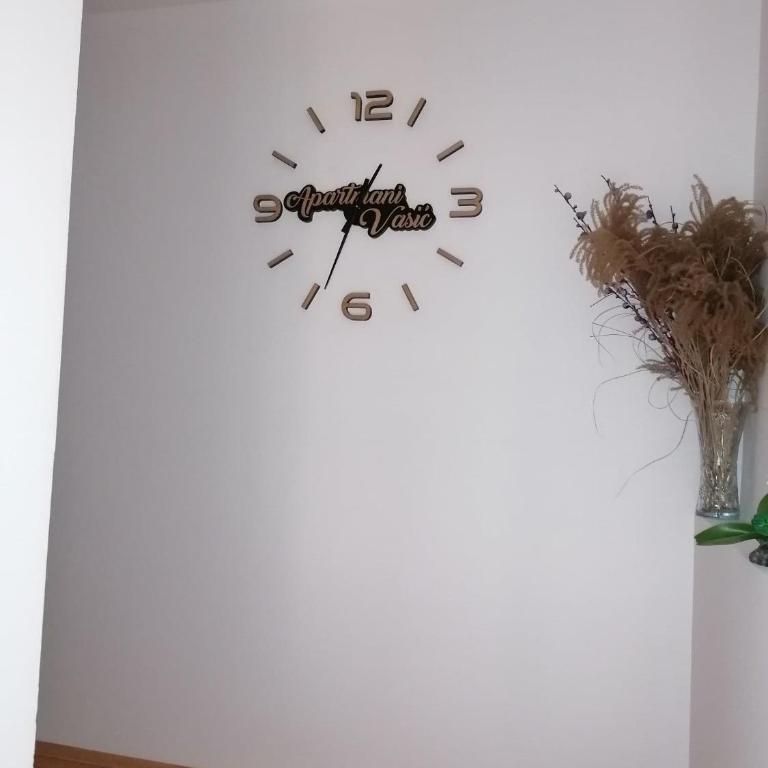 Apartmani Vasić - Apartman sa 2 Spavaće Sobe - 9