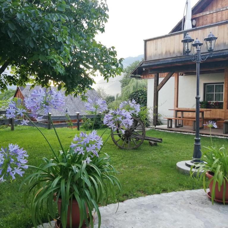 Ortnerhof Ennstal - Apartment mit 2 Schlafzimmern - 1