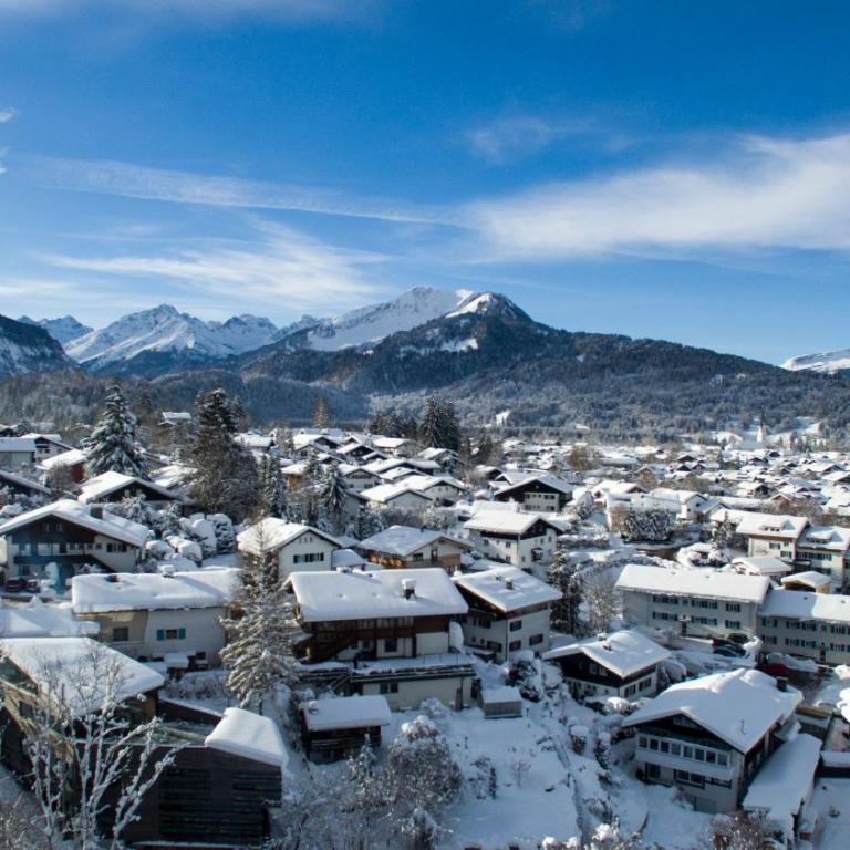 02 BERGFEX Gaisalphorn mit Sommer-Bergbahnticket - Apartment mit 1 Schlafzimmer - 17