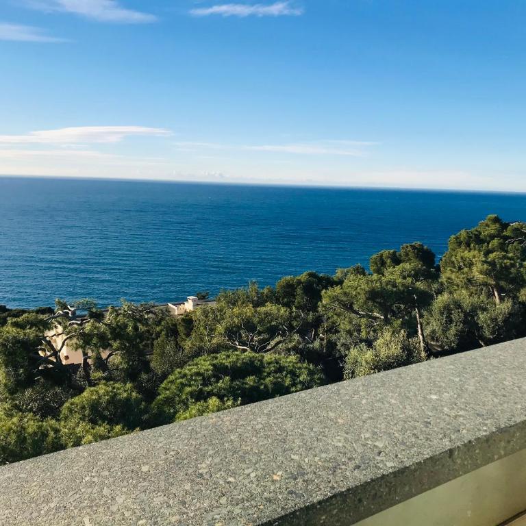 COSTA PLANA COLLECTION - Cap d'Ail - Monaco - Appartement 1 Chambre - Vue sur Mer - 424 - 11