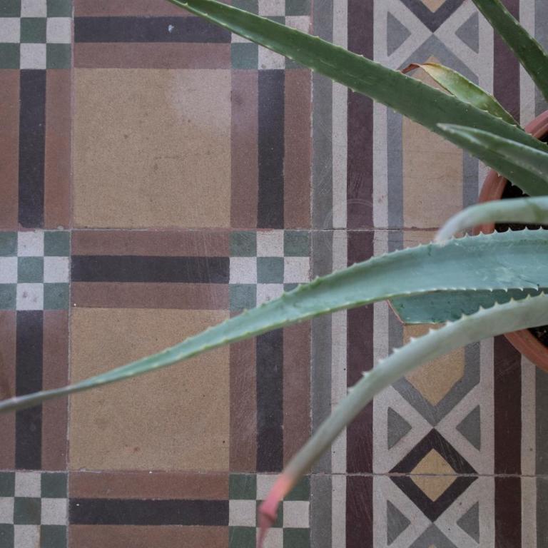 Noù la tua casa in Puglia - Camera Matrimoniale con Vista Parco - 14