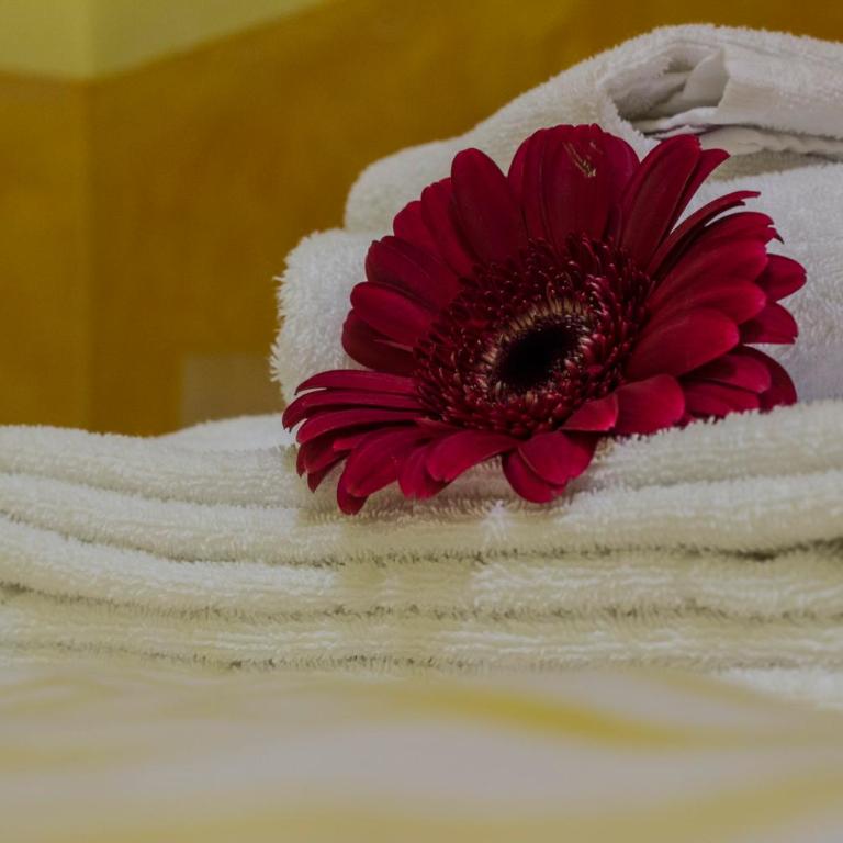 On The Rainbow B&B - Double Room with Private Bathroom - 3