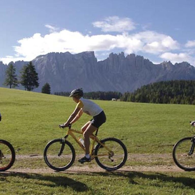 Apartment Christian Welschnofen - Aktiv, Genuss und Natur in den Dolomiten, nahe am Karersee, inklusive Eggental Guest Card - Superior Apartment - 11