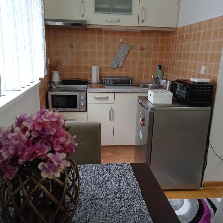 Apartman Harmonija Vrnjačka Banja - Apartman - 29