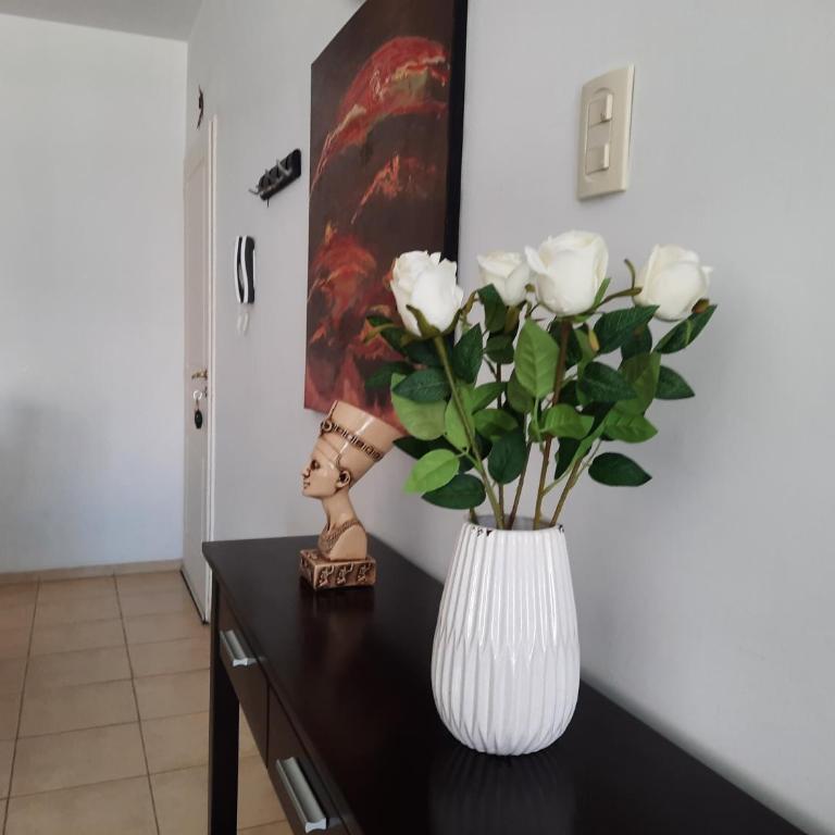 Departamento en San Juan, Argentina - Apartamento - 5