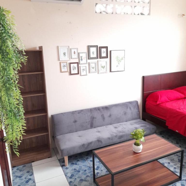 Alborada minisuites - Estudio Estándar - 1