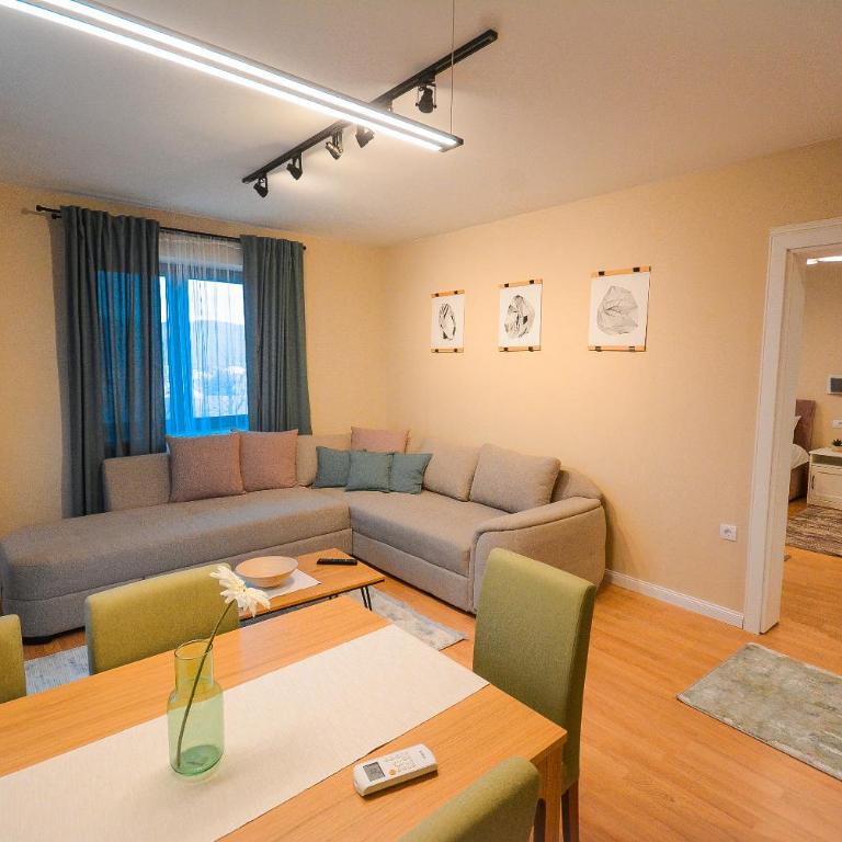 Apartman MILA Vrnjačka Banja - Apartman sa 1 Spavaćom Sobom - 4