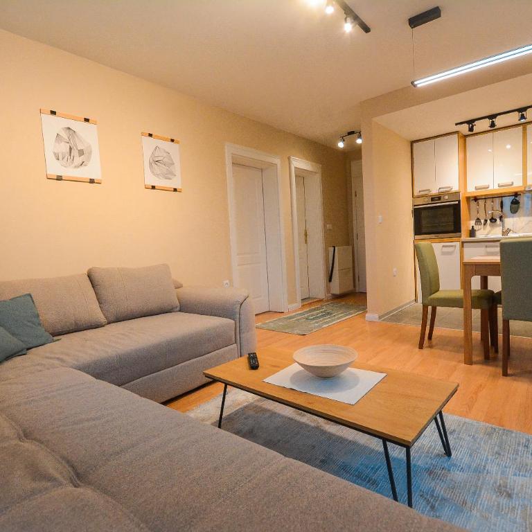 Apartman MILA Vrnjačka Banja - Apartman sa 1 Spavaćom Sobom - 8
