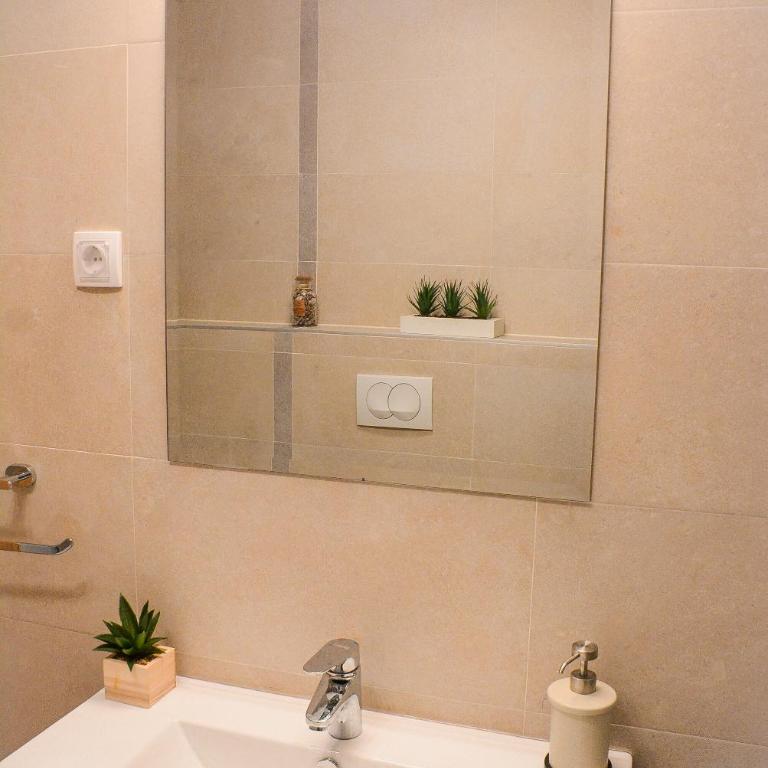 Apartman MILA Vrnjačka Banja - Apartman sa 1 Spavaćom Sobom - 18