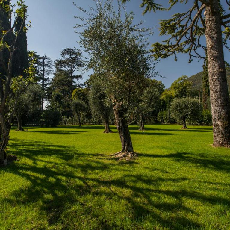 Villa Belvedere - Villa Deluxe - 33