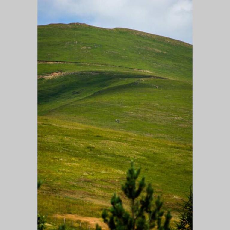 Mesto za odmor - Kuća sa 3 Spavaće Sobe - 19