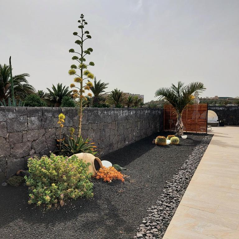 Casa volcanes - Casa - 30