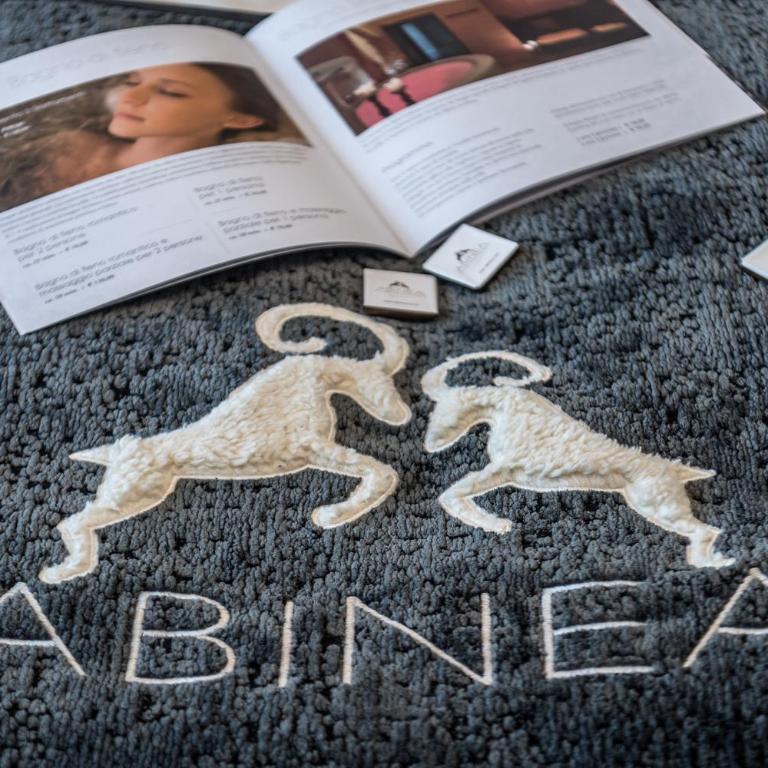 ABINEA Dolomiti Romantic SPA - Camera Matrimoniale Comfort - 4