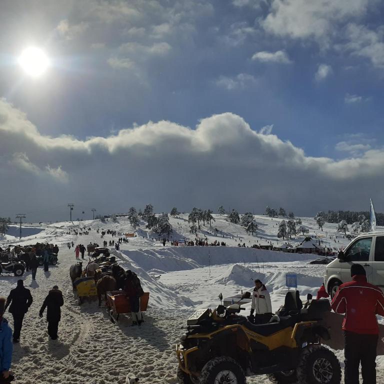 Apartman Dalija - Apartman - 25