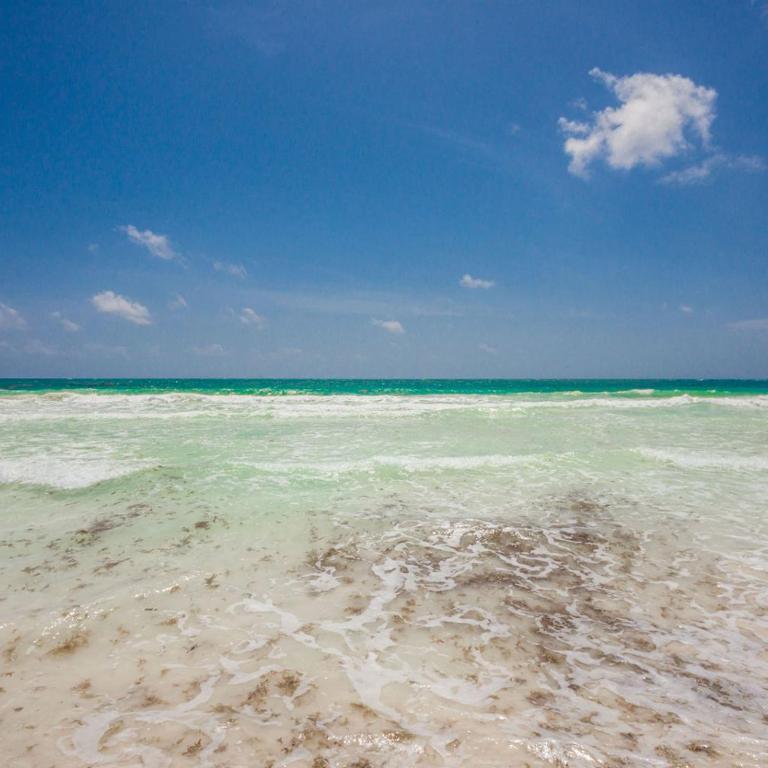 luxury beachfront villa in Sian Kaan - Casa de 4 dormitorios - 7