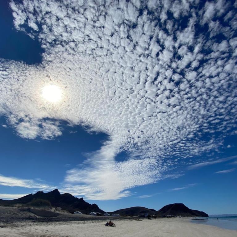Amazing condo Sea Front top location in La Paz - salty water pool and jacuzzis - Apartment - 50