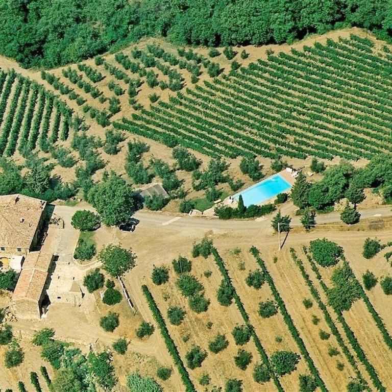 Capanna Leopoldina 8 - Appartamento con 4 Camere da Letto - 6