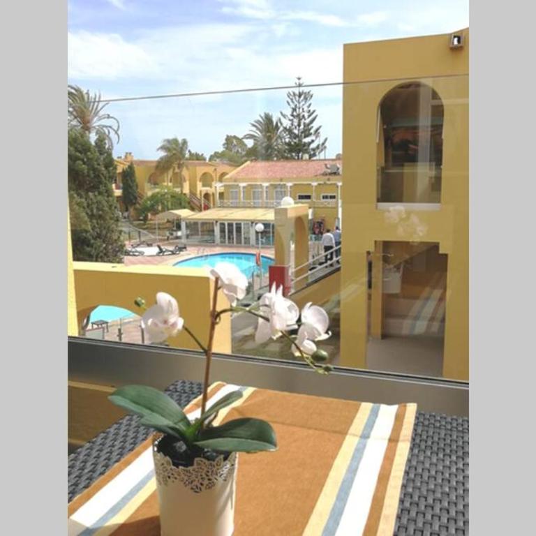 Tisalaya Park stay, cosy apartment in Maspalomas - Apartamento de 1 dormitorio - 30