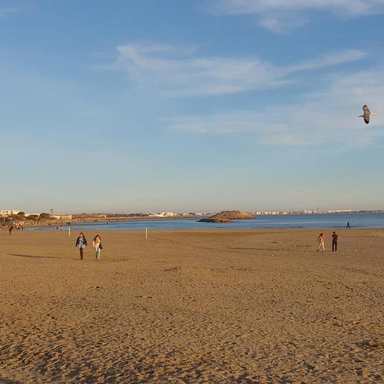 Grande villa indépendante proche plage et commerces grande motte - Villa - Côté Plage - 17