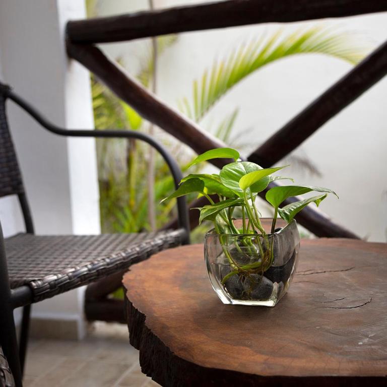 Hotel Amar Inn - Double Room with Two Double Beds - Ground Floor - 24